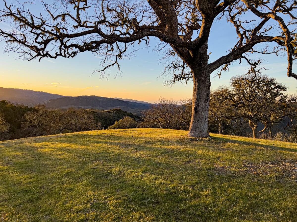 26MLS_23 VT_4572 - 23 Vasquez Trail - La Tierra Realty 2023