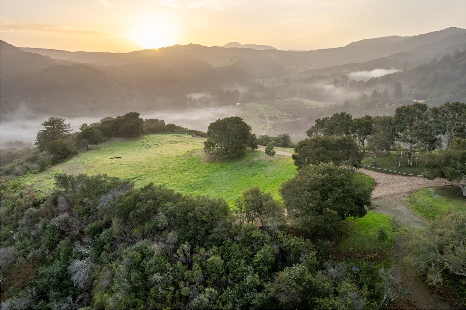 3-04-17-Rancho-San-Carlos-Rd-LR-Canning Properties Group 2025 downsized