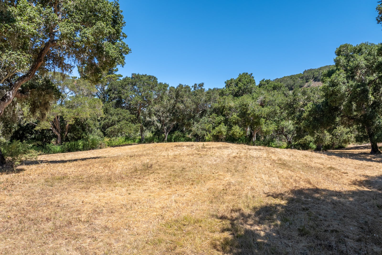 3 - 4_Goodrich_Trail_011 - © Canning Properties Group 2025