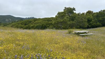 3 8 Corral Run - © Carmel Realty Company 2025