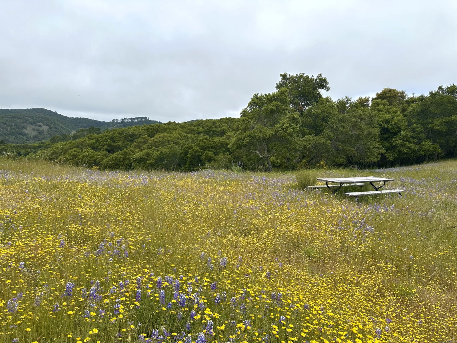 3 8 Corral Run - © Carmel Realty Company 2025