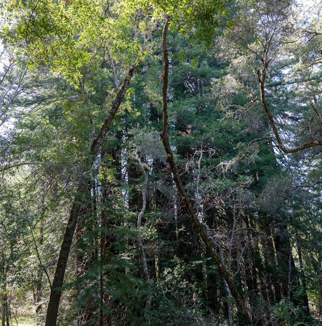 35000 robinson canyon road - compass realty 2022-10
