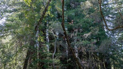 35000 robinson canyon road - compass realty 2022-10