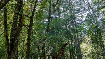 35000 robinson canyon road - compass realty 2022-11