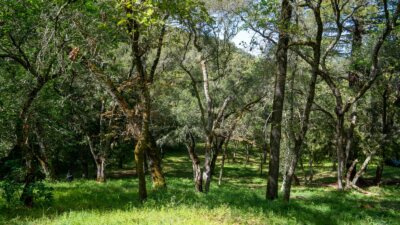 35000 robinson canyon road - compass realty 2022-12