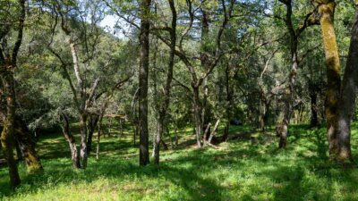 35000 robinson canyon road - compass realty 2022-13