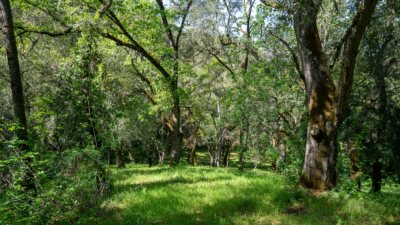 35000 robinson canyon road - compass realty 2022-14