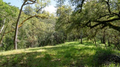 35000 robinson canyon road - compass realty 2022-15