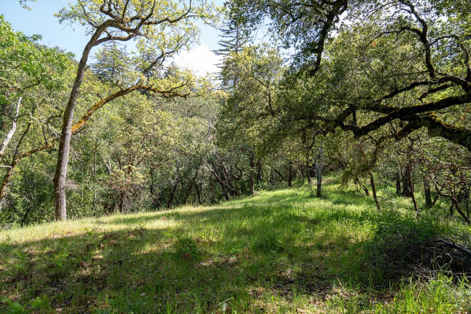 35000 robinson canyon road - compass realty 2022-15
