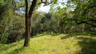 35000 robinson canyon road - compass realty 2022-19