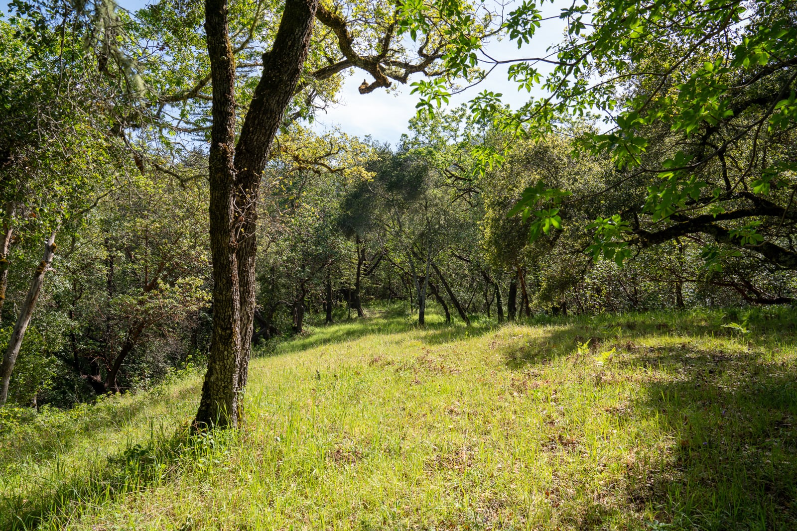 35000 robinson canyon road - compass realty 2022-19