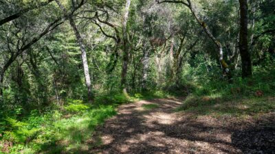 35000 robinson canyon road - compass realty 2022-2