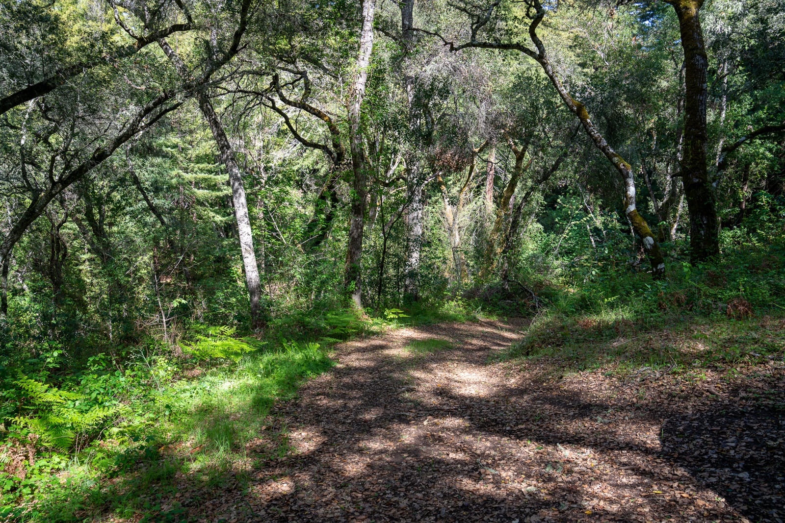 35000 robinson canyon road - compass realty 2022-2