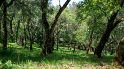 35000 robinson canyon road - compass realty 2022-20