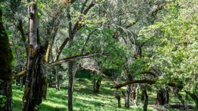 35000 robinson canyon road - compass realty 2022-22
