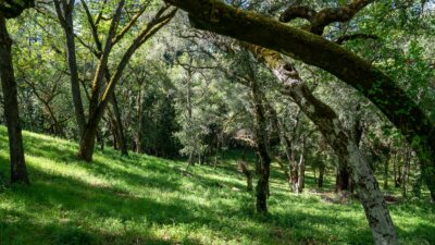 35000 robinson canyon road - compass realty 2022-23