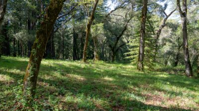 35000 robinson canyon road - compass realty 2022-3
