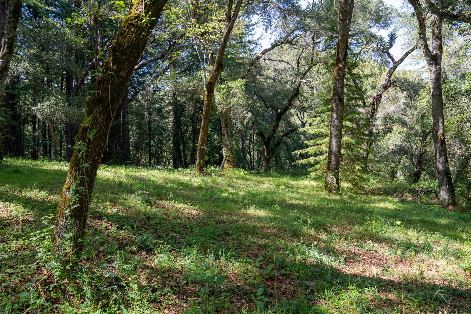 35000 robinson canyon road - compass realty 2022-3