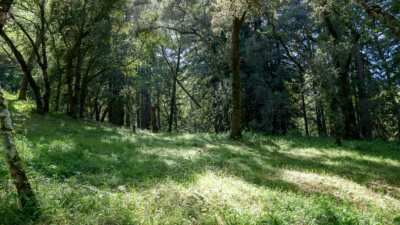 35000 robinson canyon road - compass realty 2022-6