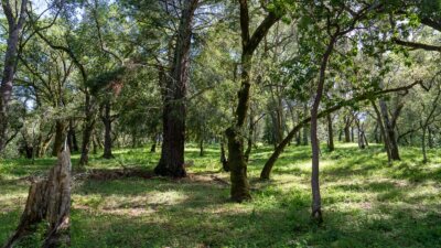 35000 robinson canyon road - compass realty 2022-7
