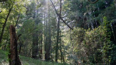 35000 robinson canyon road - compass realty 2022-8
