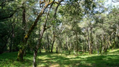 35000 robinson canyon road - compass realty 2022-9