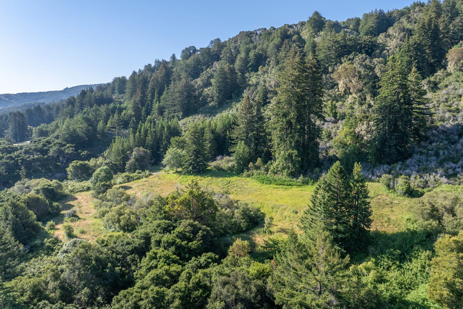 4-04-15-Potrero-Trail-LR - © Compass Realty 2025