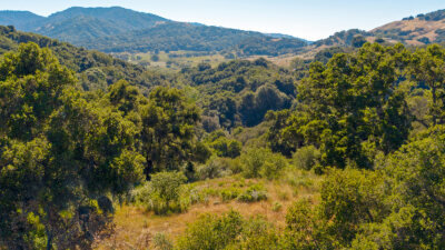 4 - 1 7_Vasquez_Trail_13 - © Canning Properties Group 2023