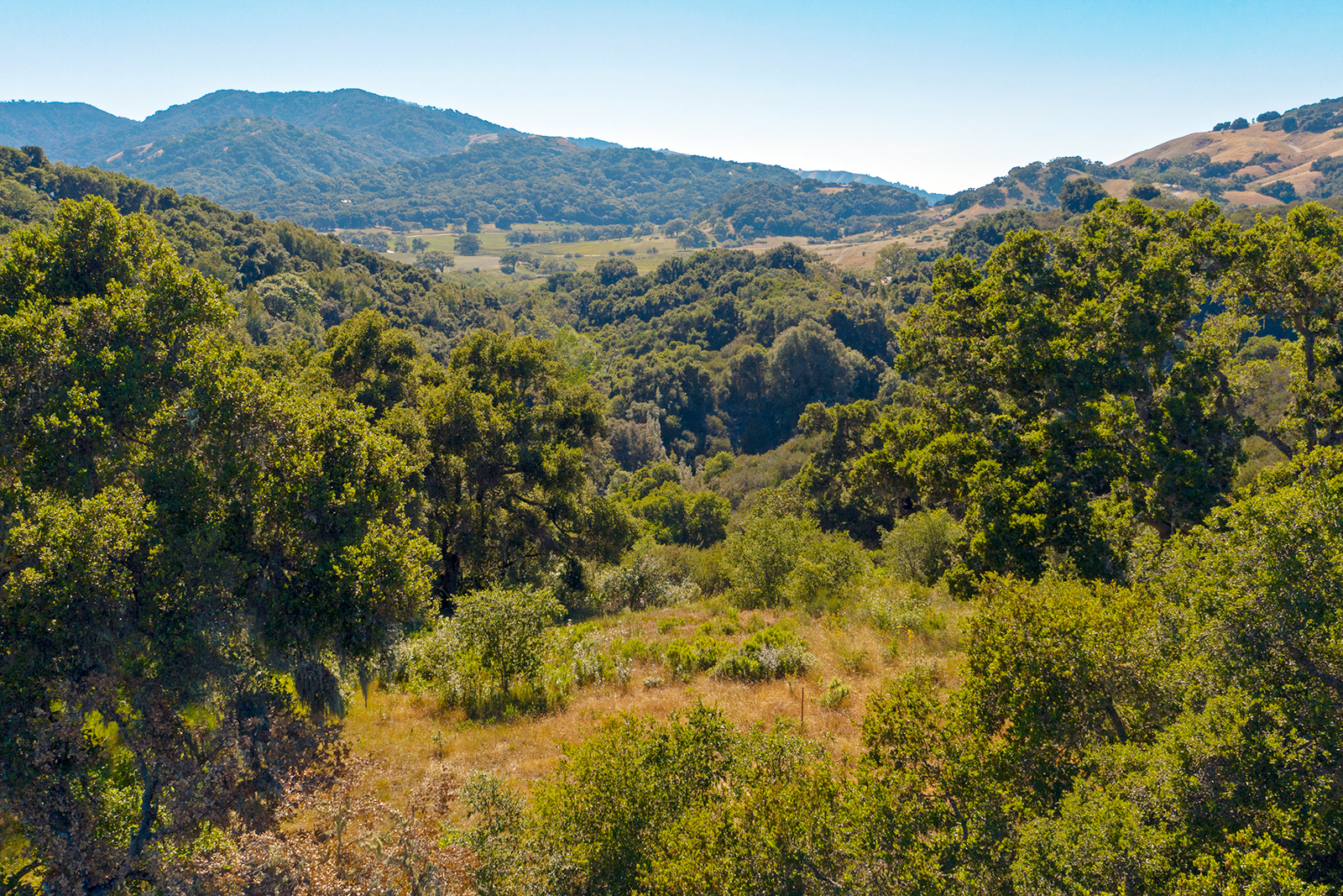 4 - 1 7_Vasquez_Trail_13 - © Canning Properties Group 2023