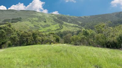 4 29 PT - 29 Potrero Trail - © Carmel Realty Company 2025