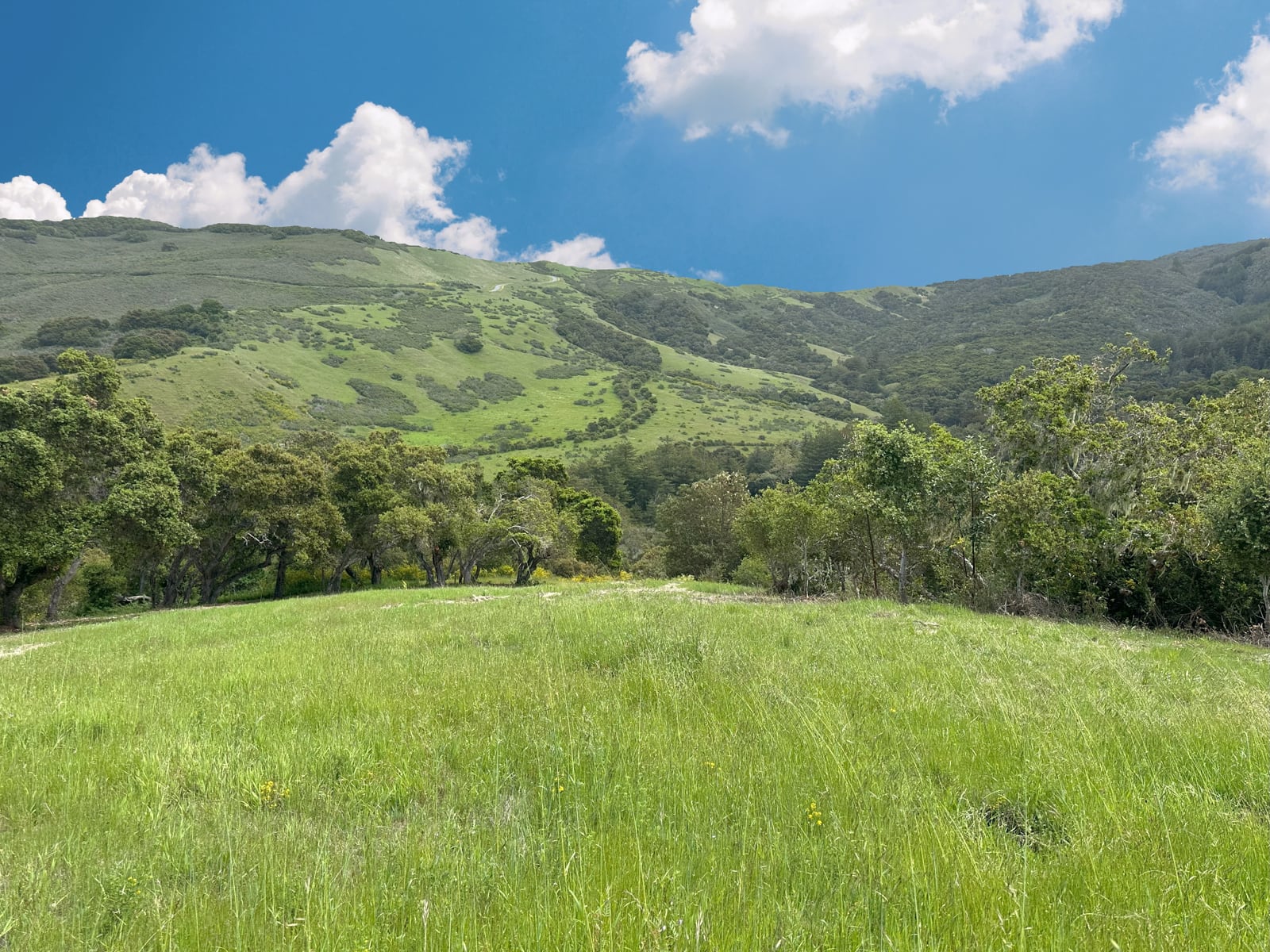 4 29 PT - 29 Potrero Trail - © Carmel Realty Company 2025