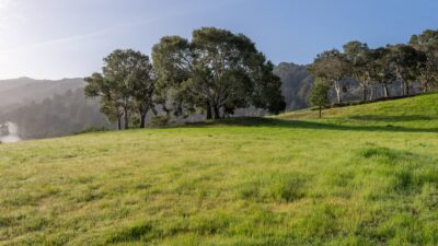 4-33-17-Rancho-San-Carlos-Rd-LR-Canning Properties Group 2025 downsized
