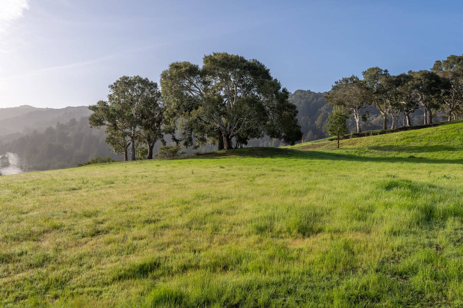 4-33-17-Rancho-San-Carlos-Rd-LR-Canning Properties Group 2025 downsized