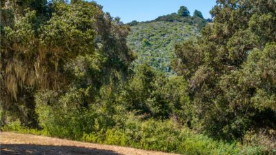 4 - 4_Goodrich_Trail_014 - © Canning Properties Group 2025