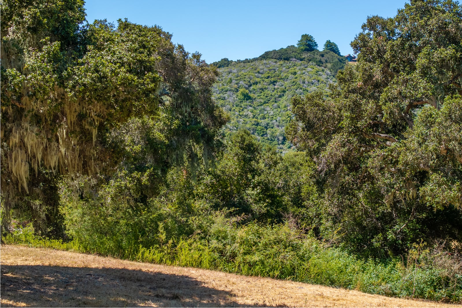 4 - 4_Goodrich_Trail_014 - © Canning Properties Group 2025
