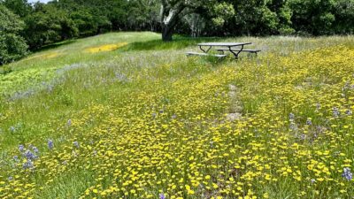4 8 Corral Run - © Carmel Realty Company 2025