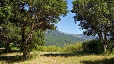 4 Holding Field Run - Hero_A7200754_Radiant - © Compass Realty 2025