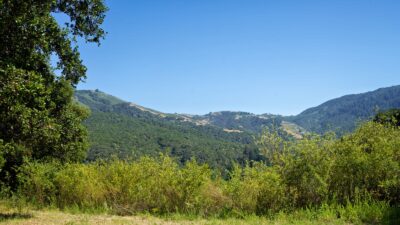 4 Holding Field Run - MLS1_A7200763_Radiant - © Compass Realty 2025