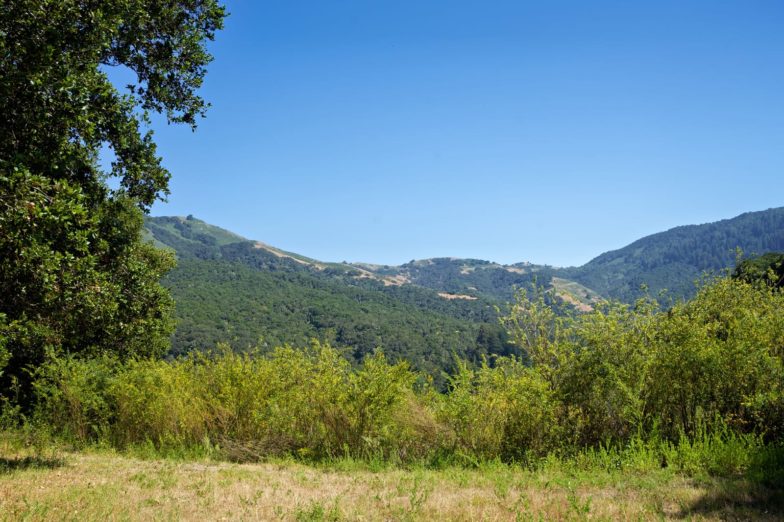 4 Holding Field Run - MLS1_A7200763_Radiant - © Compass Realty 2025