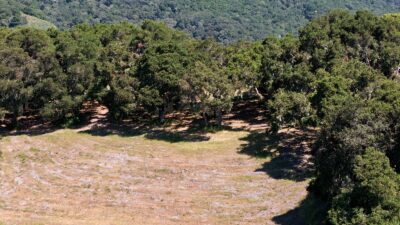 4 Holding Field Run - MLS10_DJI_20250527151848_0090 - © Compass Realty 2025
