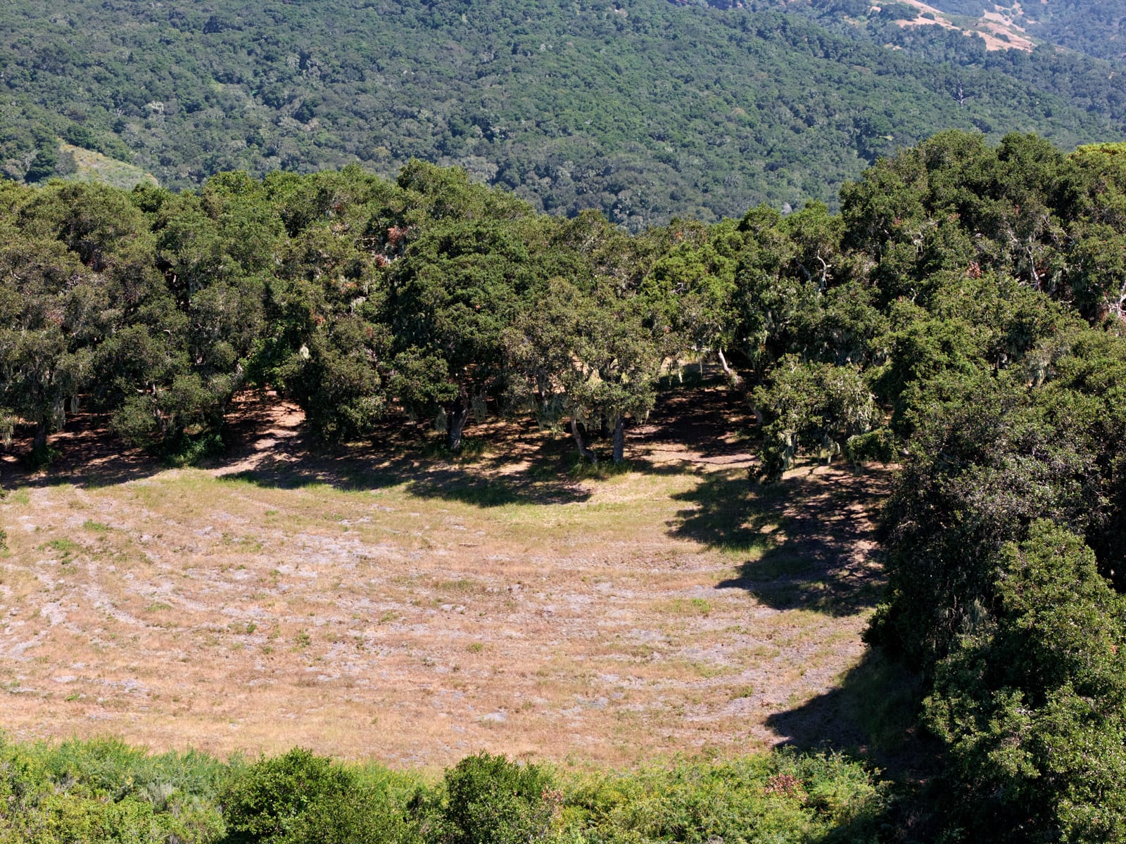 4 Holding Field Run - MLS10_DJI_20250527151848_0090 - © Compass Realty 2025