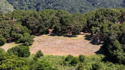 4 Holding Field Run - MLS11_DJI_20250527151902_0091 - © Compass Realty 2025