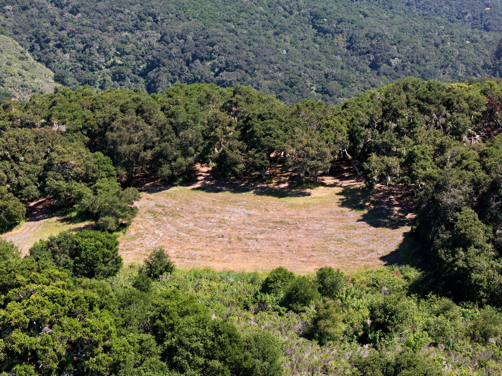4 Holding Field Run - MLS11_DJI_20250527151902_0091 - © Compass Realty 2025