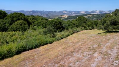 4 Holding Field Run - MLS12_DJI_20250527152542_0106 - © Compass Realty 2025
