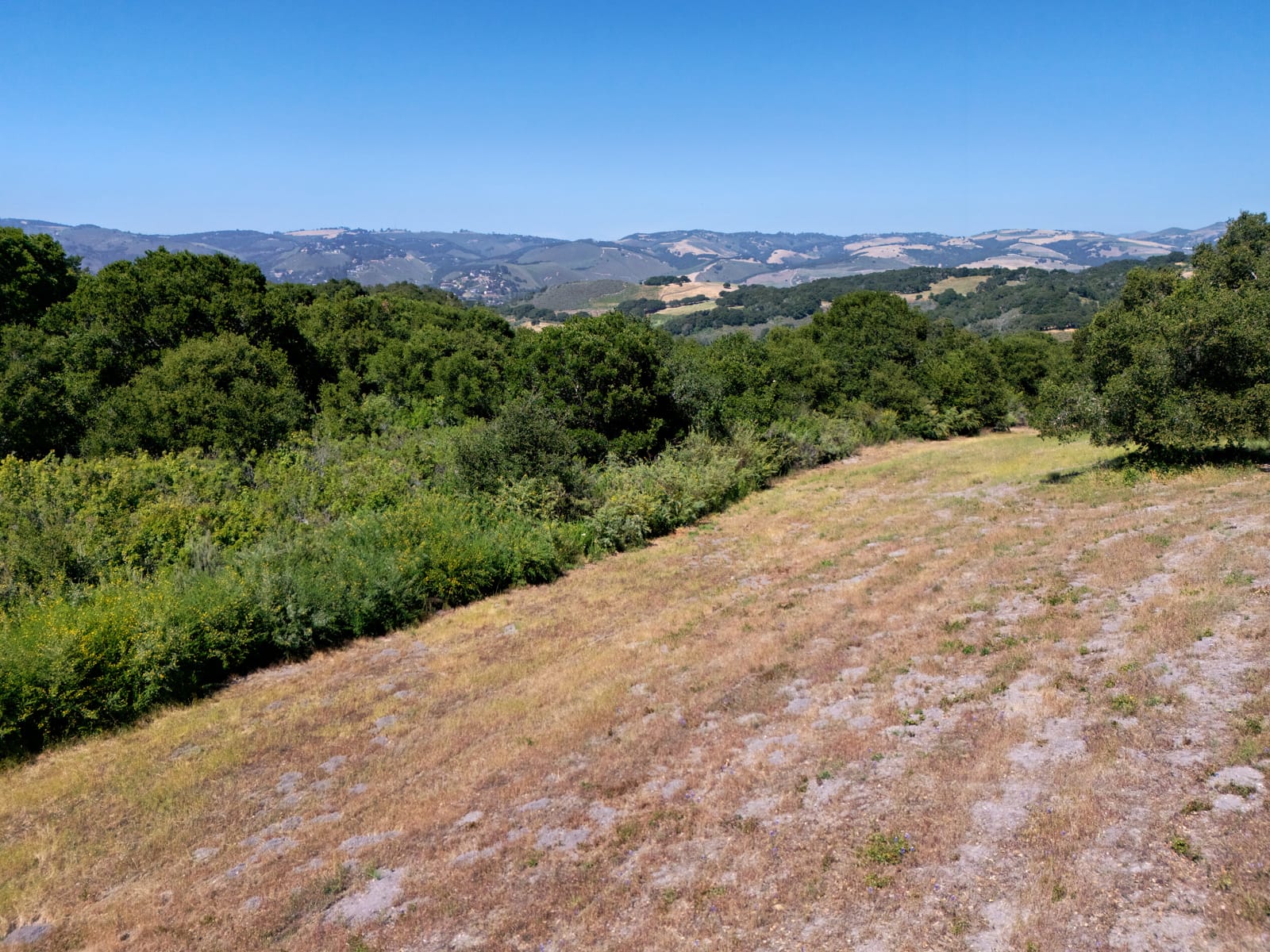 4 Holding Field Run - MLS12_DJI_20250527152542_0106 - © Compass Realty 2025