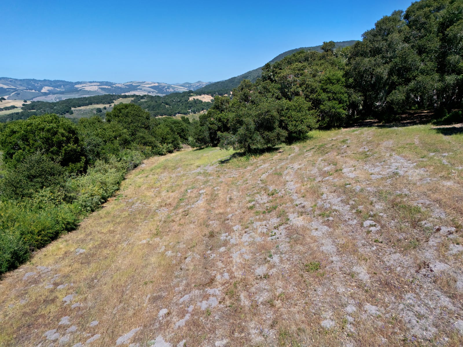 4 Holding Field Run - MLS13_DJI_20250527152557_0108 - © Compass Realty 2025