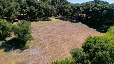 4 Holding Field Run - MLS14_DJI_20250527152710_0115 - © Compass Realty 2025