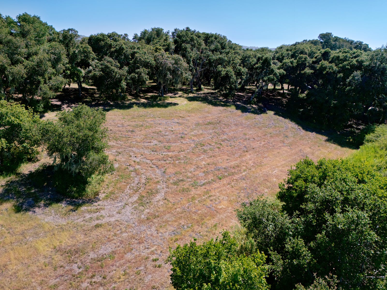 4 Holding Field Run - MLS14_DJI_20250527152710_0115 - © Compass Realty 2025