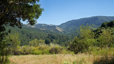 4 Holding Field Run - MLS3_A7200778_Radiant - © Compass Realty 2025