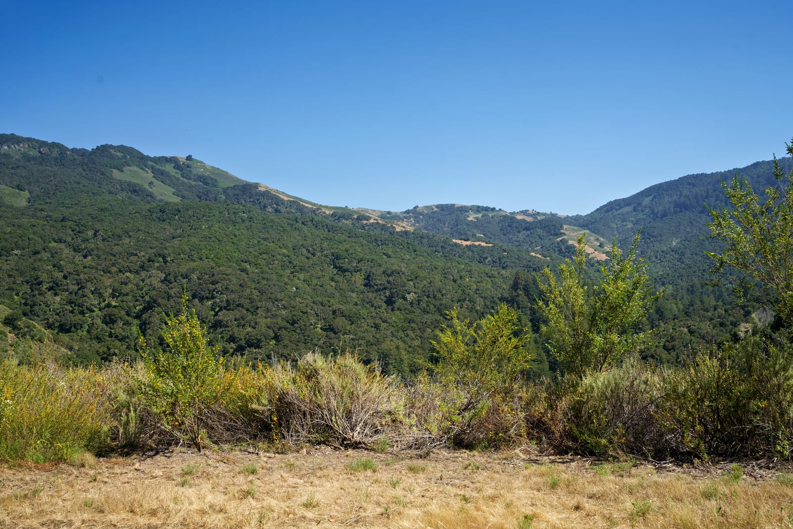 4 Holding Field Run - MLS4_A7200781_Radiant - © Compass Realty 2025